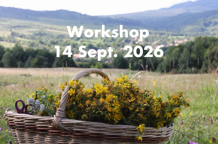 A deposit for the Plant-dyeing and Spinning Workshop - 14 September 2026